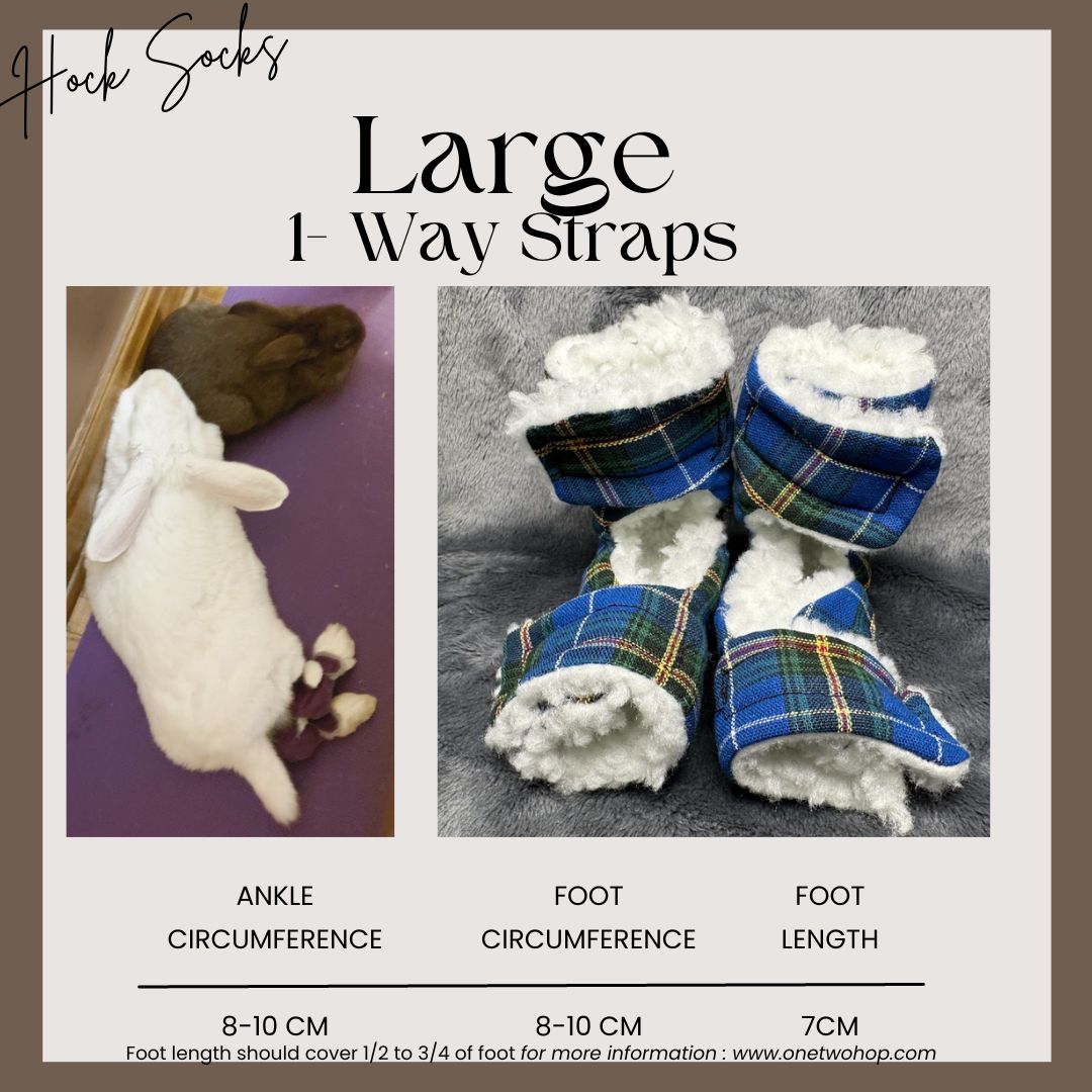 Size: Large Rabbit Hock Socks(1-Way Straps)