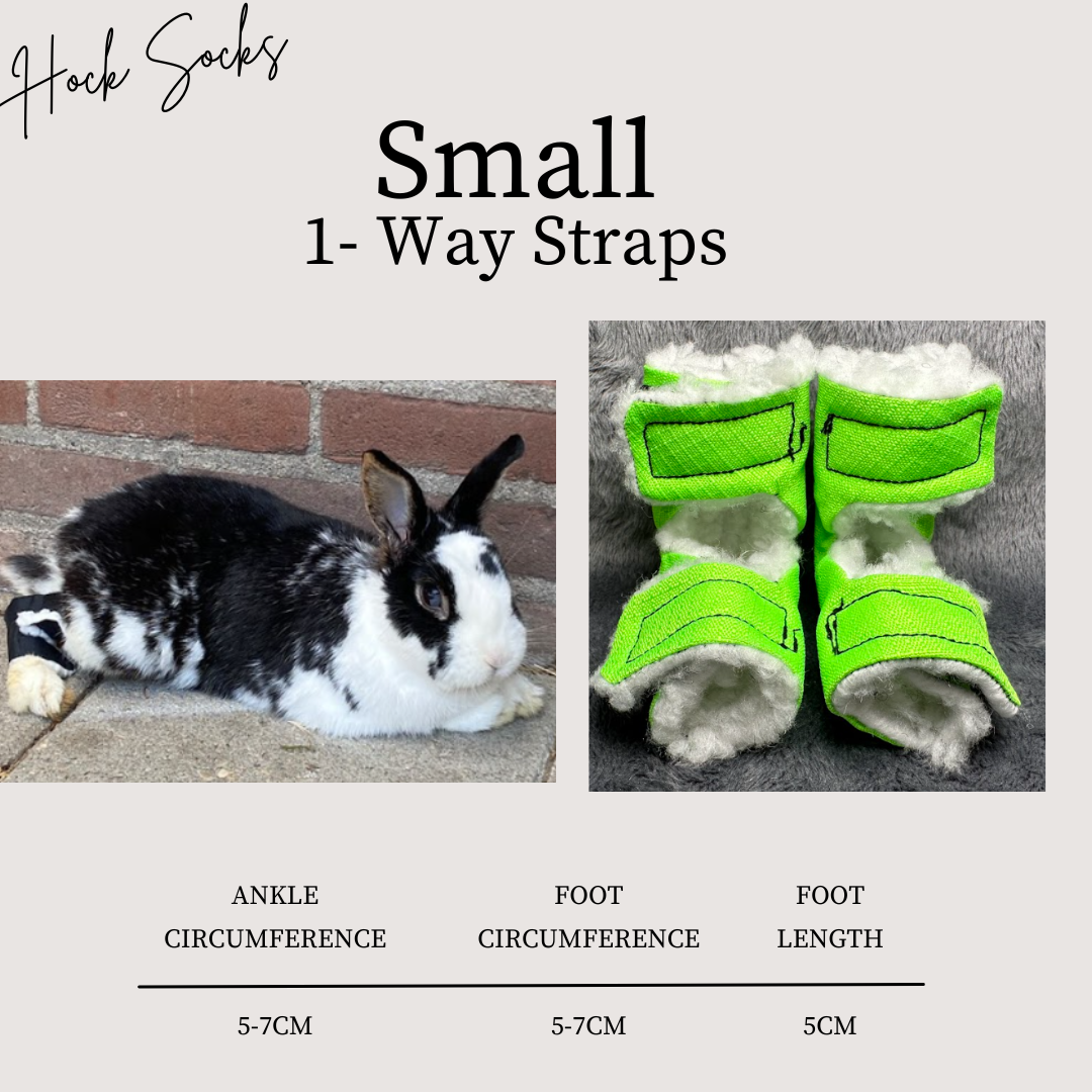 Size: Small Rabbit Hock Socks (1-Way Straps)