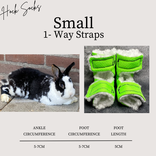 Size: Small Rabbit Hock Socks (1-Way Straps)