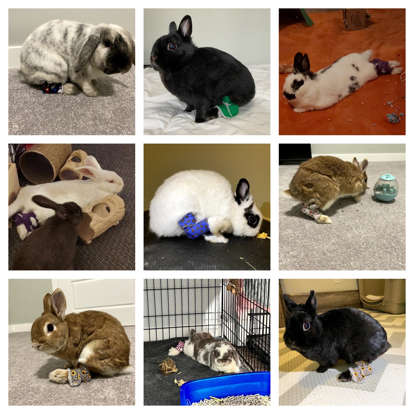 Size: Extra Small Rabbit Hock Socks (2-Way Straps)