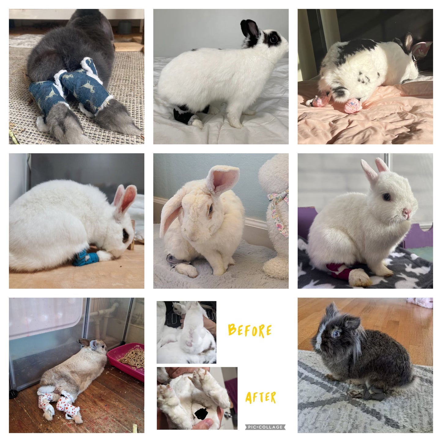 Size: Small Rabbit Hock Socks (Sport Socks)