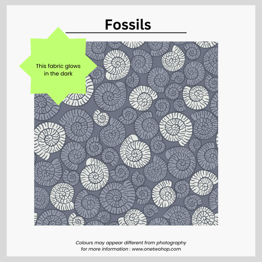 Fossils *Glow In Dark Material*