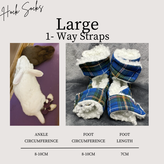 Size: Large Rabbit Hock Socks(1-Way Straps)