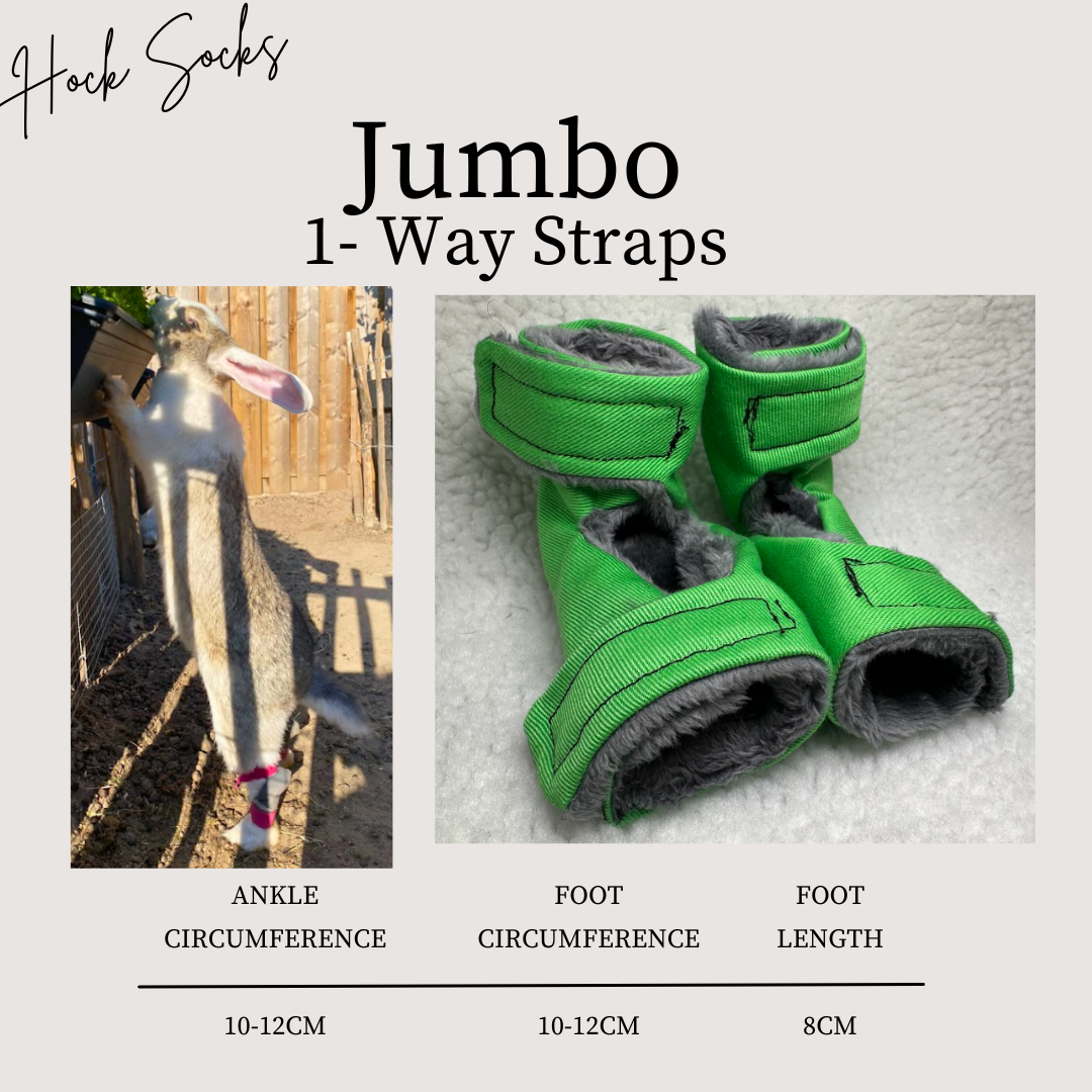 Size: Jumbo Rabbit Hock Socks (1-Way Straps)