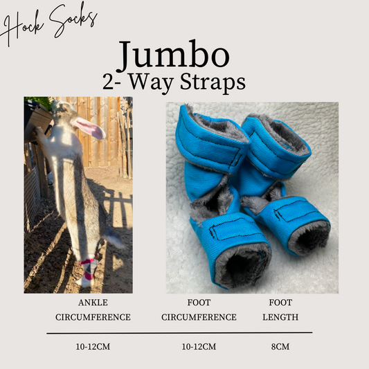 Size: Jumbo Rabbit Hock Socks (2-Way Straps)