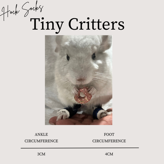 Tiny Critters / Chinchilla Socks