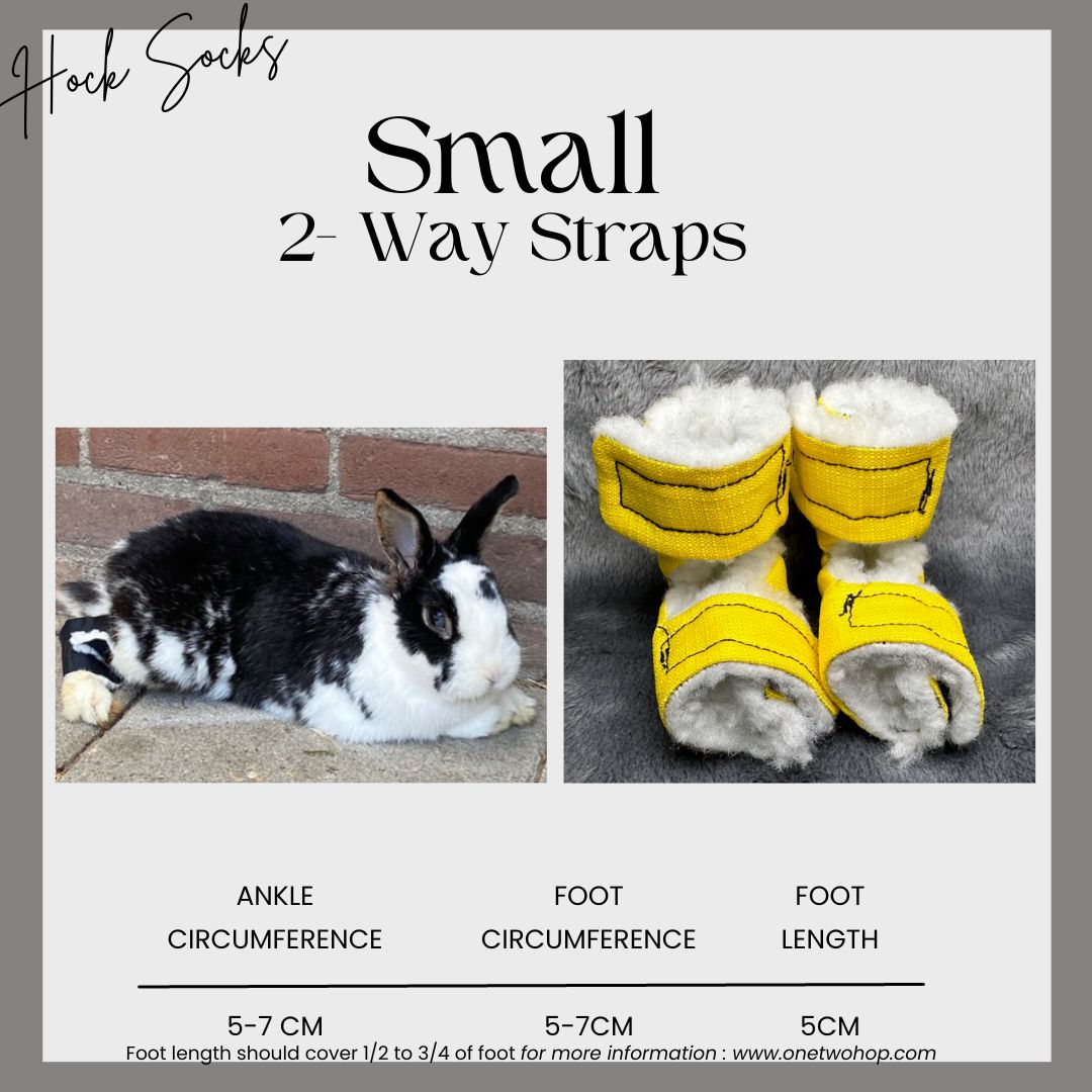 Size: Small Rabbit Hock Socks (2-Way Straps)
