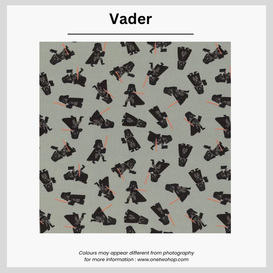 Vader (Cat)