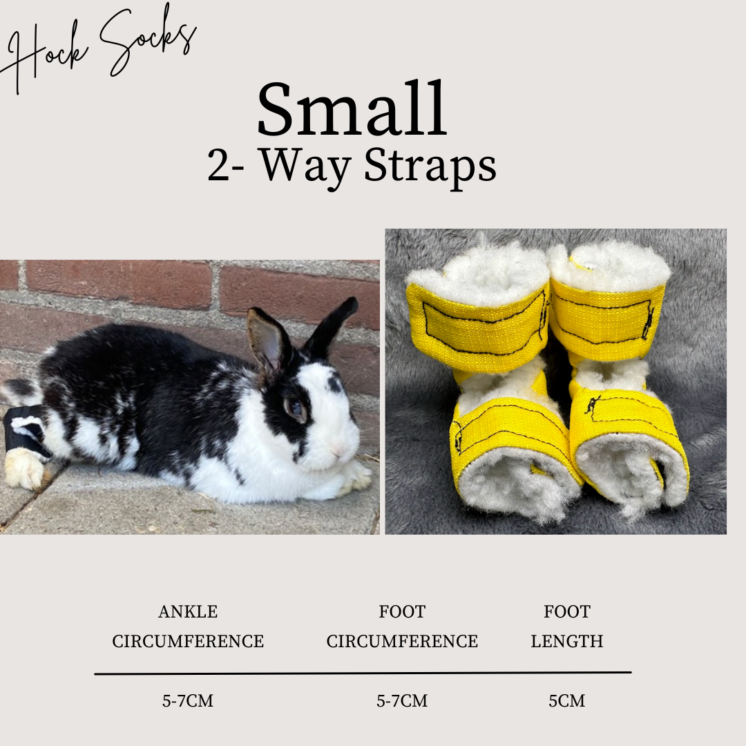 Size: Small Rabbit Hock Socks (2-Way Straps)