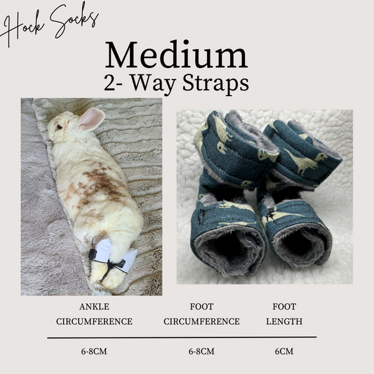 Size: Medium Rabbit Hock Socks (2-Way Straps)