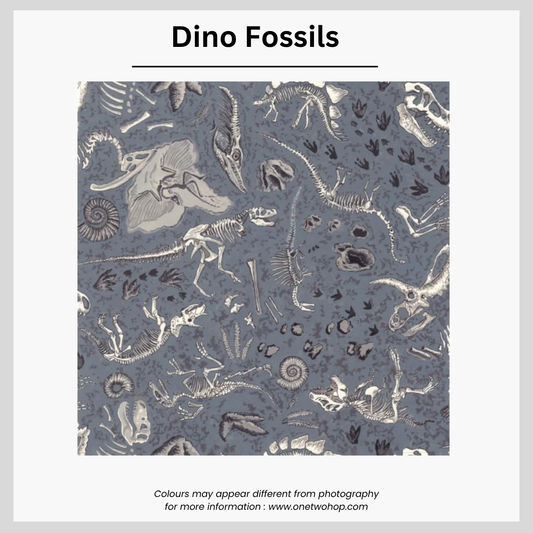 Dino Fossils